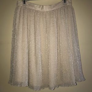 Sparkly Skirt